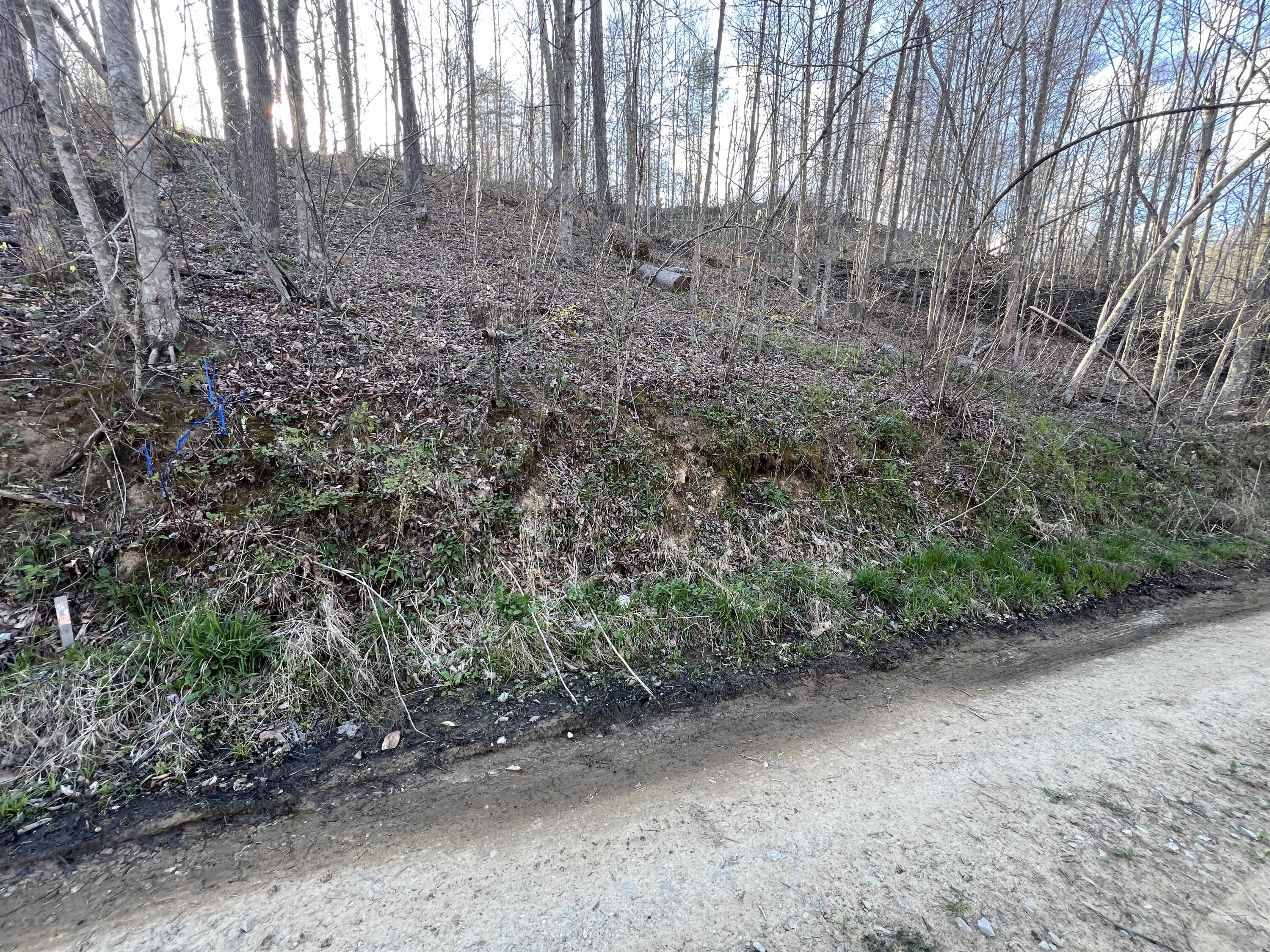 2000 Tbd Stamper Branch Campton, KY 41301 - Photo 4 of 47 Photo Apr 15, 6 09 34 PM