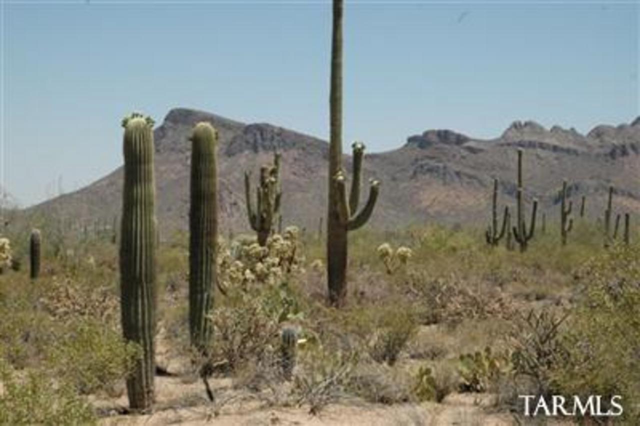 9800 West Rudasill Road Tucson, AZ 85743 - Photo 1 of 10 Gallery Image 1