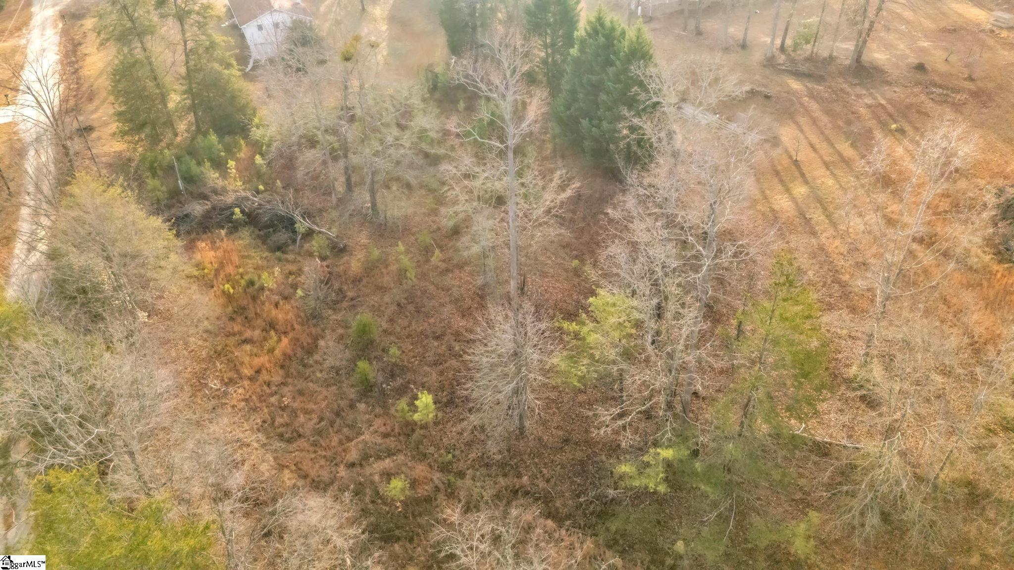 135 Raybrook Court Taylors, SC 29687 - Photo 2 of 12