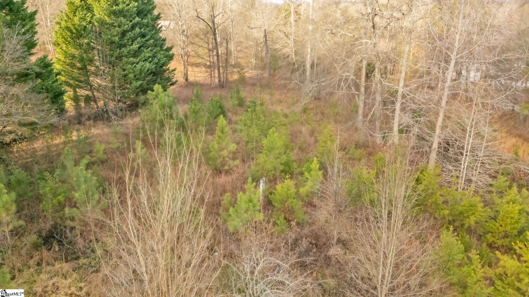 135 Raybrook Court Taylors, SC 29687 - Photo 3 of 12