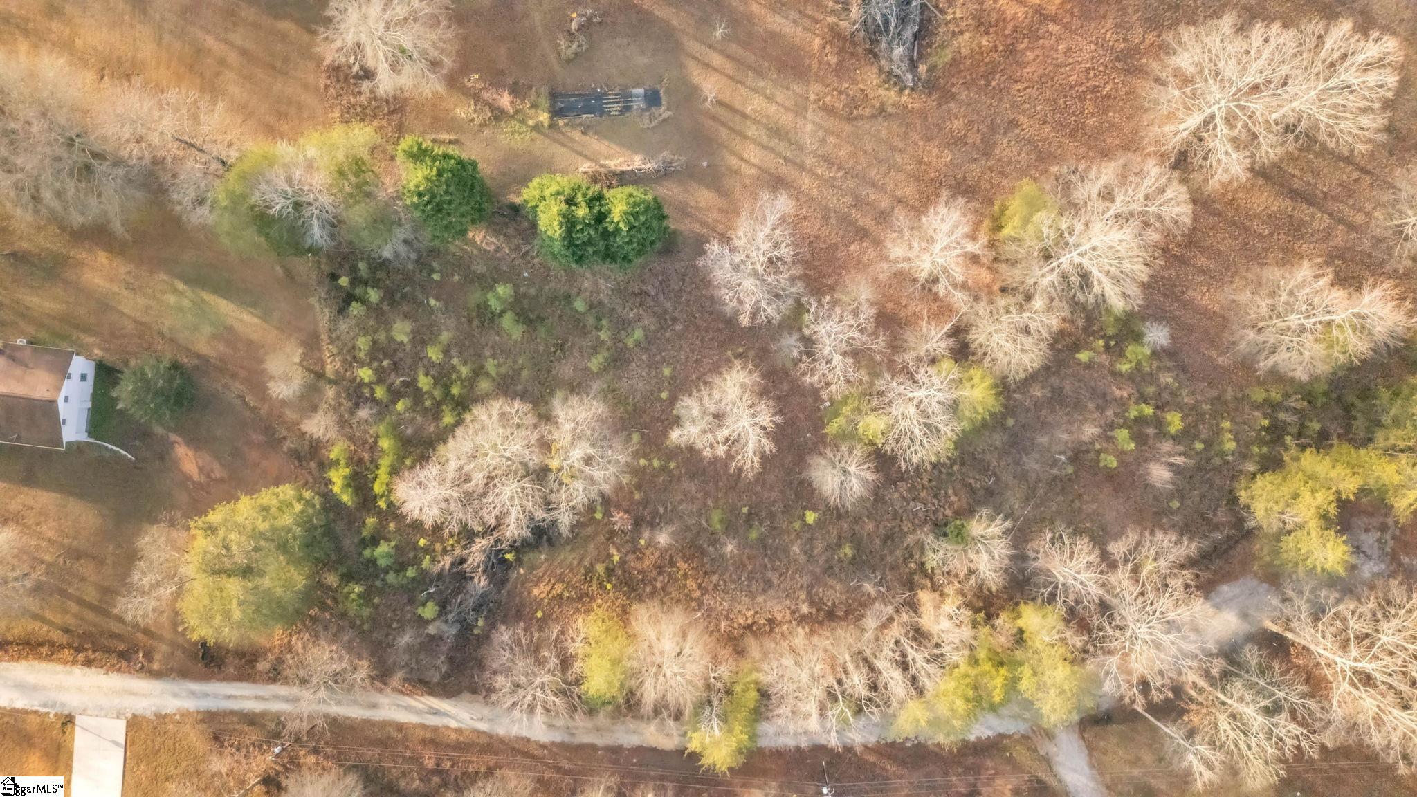 135 Raybrook Court Taylors, SC 29687 - Photo 5 of 12