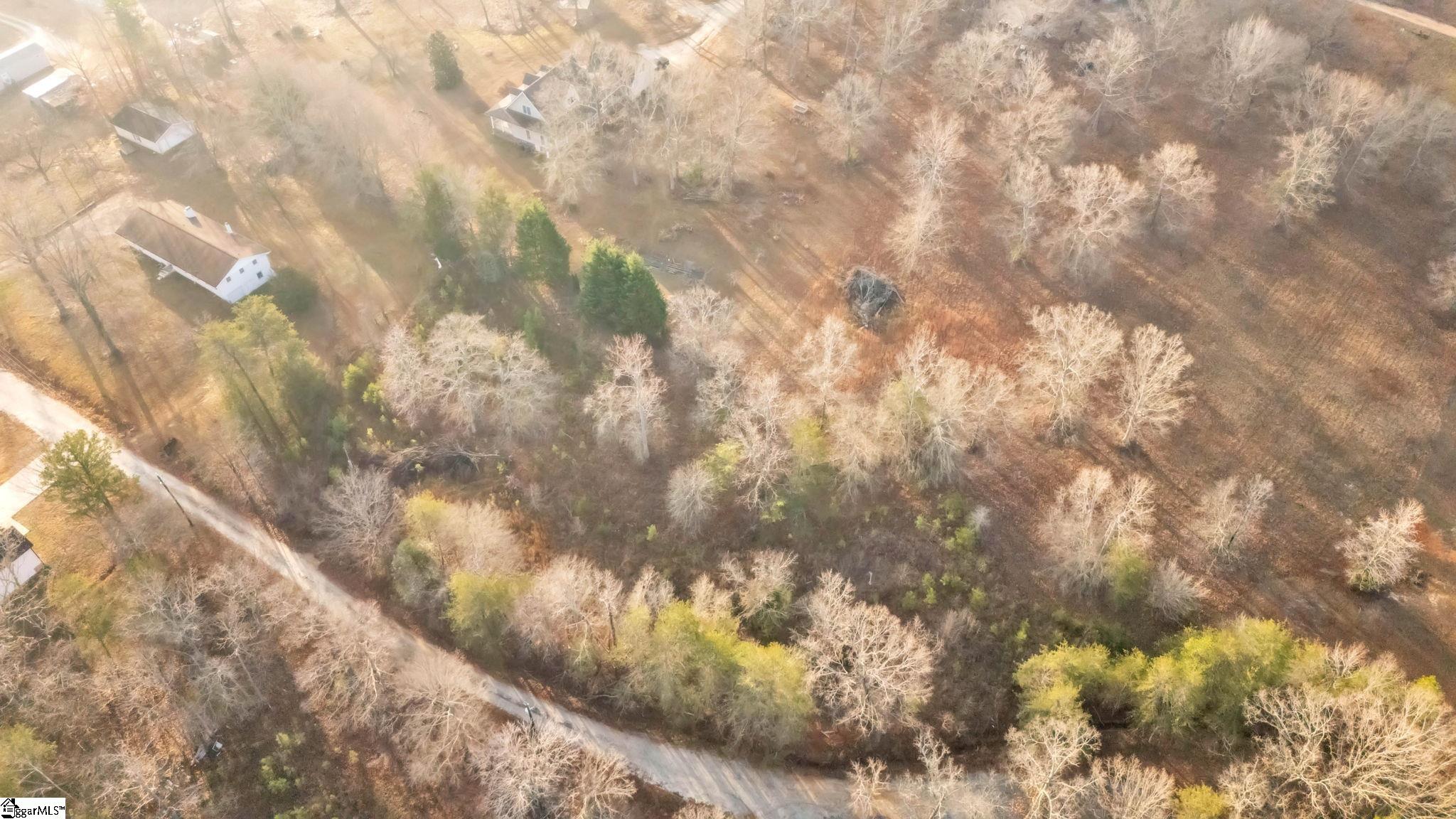 135 Raybrook Court Taylors, SC 29687 - Photo 9 of 12