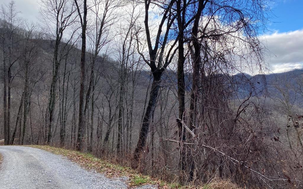 Lot Off Lot Off Buck Naked Road Bryson City, NC 28713 - Photo 5 of 7