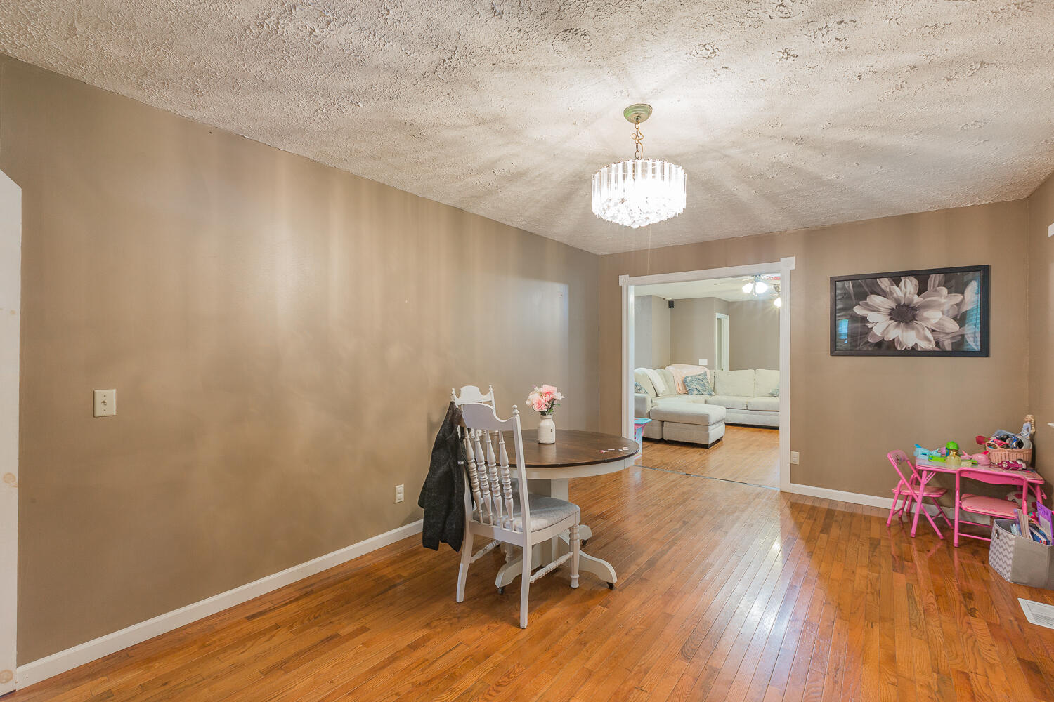 2448 Saunders Road Ringgold, GA 30736 - Photo 9 of 40 2248 Saunder Road HD 30736-57