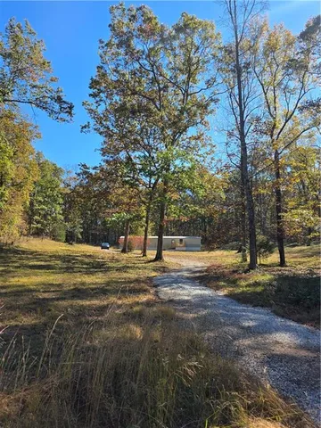 a view of a yard with large trees