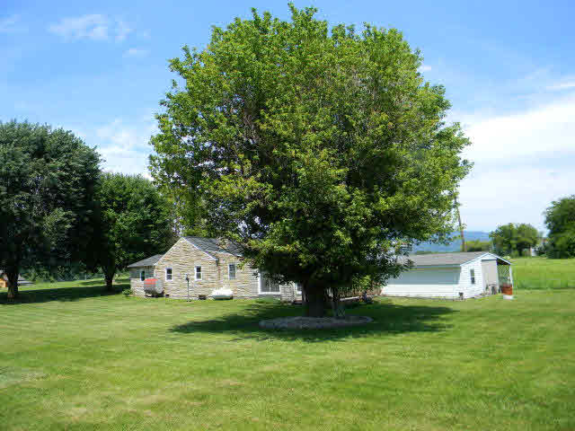 3947 Homestead Road Elkton, VA 22827 - Photo 4 of 25 Gallery Image 4