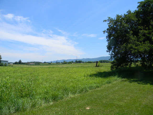 3947 Homestead Road Elkton, VA 22827 - Photo 6 of 25 Gallery Image 6