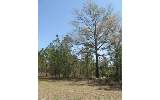 Lot 2 Bell Road Hilliard, FL 32046 - Photo 1 of 1 Gallery Image 1