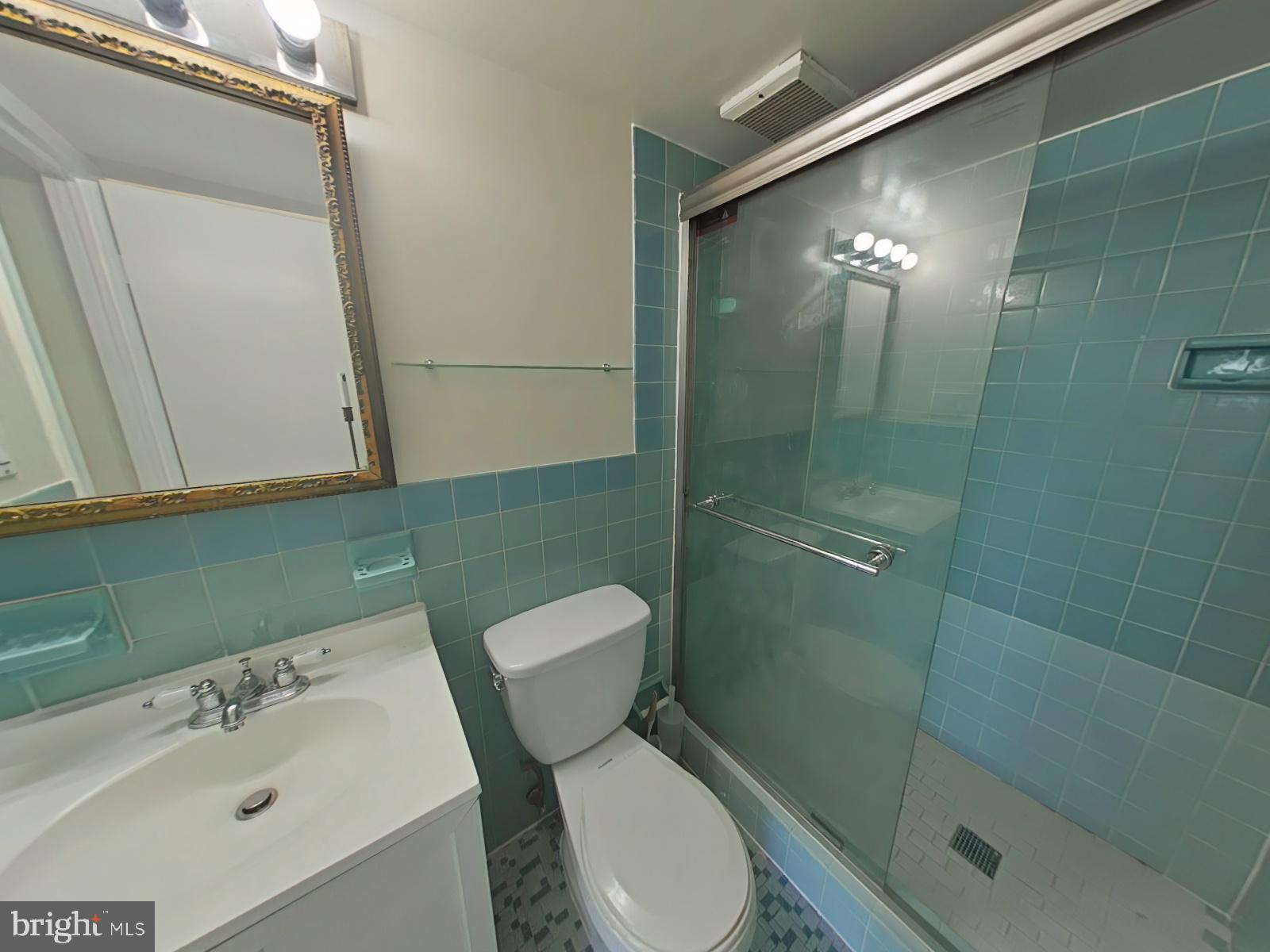 1111 University Boulevard West, Unit 1406A Silver Spring, MD 20902 - Photo 10 of 25 Primary Bathroom