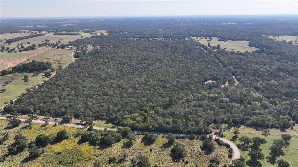 0 Easley Road Smithville, TX 78957 - Photo 6 of 9