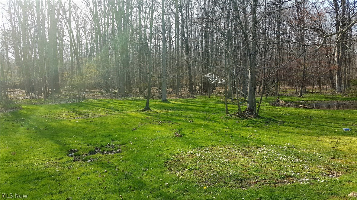 4260 Brainard Road Chagrin Falls, OH 44022 - Photo 22 of 25 Gallery Image 22