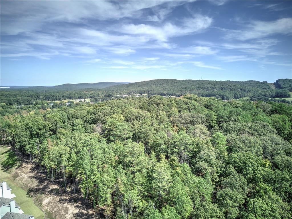0 Cline Smith Cartersville, GA 30121 - Photo 5 of 7 a view of a city with lush green forest