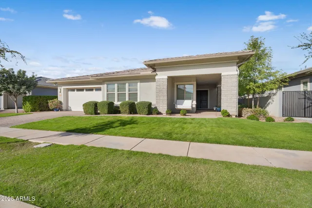 a view of an empty room with wooden floor and a potted plant