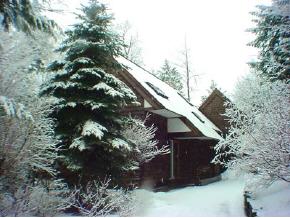 7 Turkey Run Road, Unit 87 Winhall, VT 05340 - Photo 1 of 9