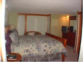 7 Turkey Run Road, Unit 87 Winhall, VT 05340 - Photo 5 of 9