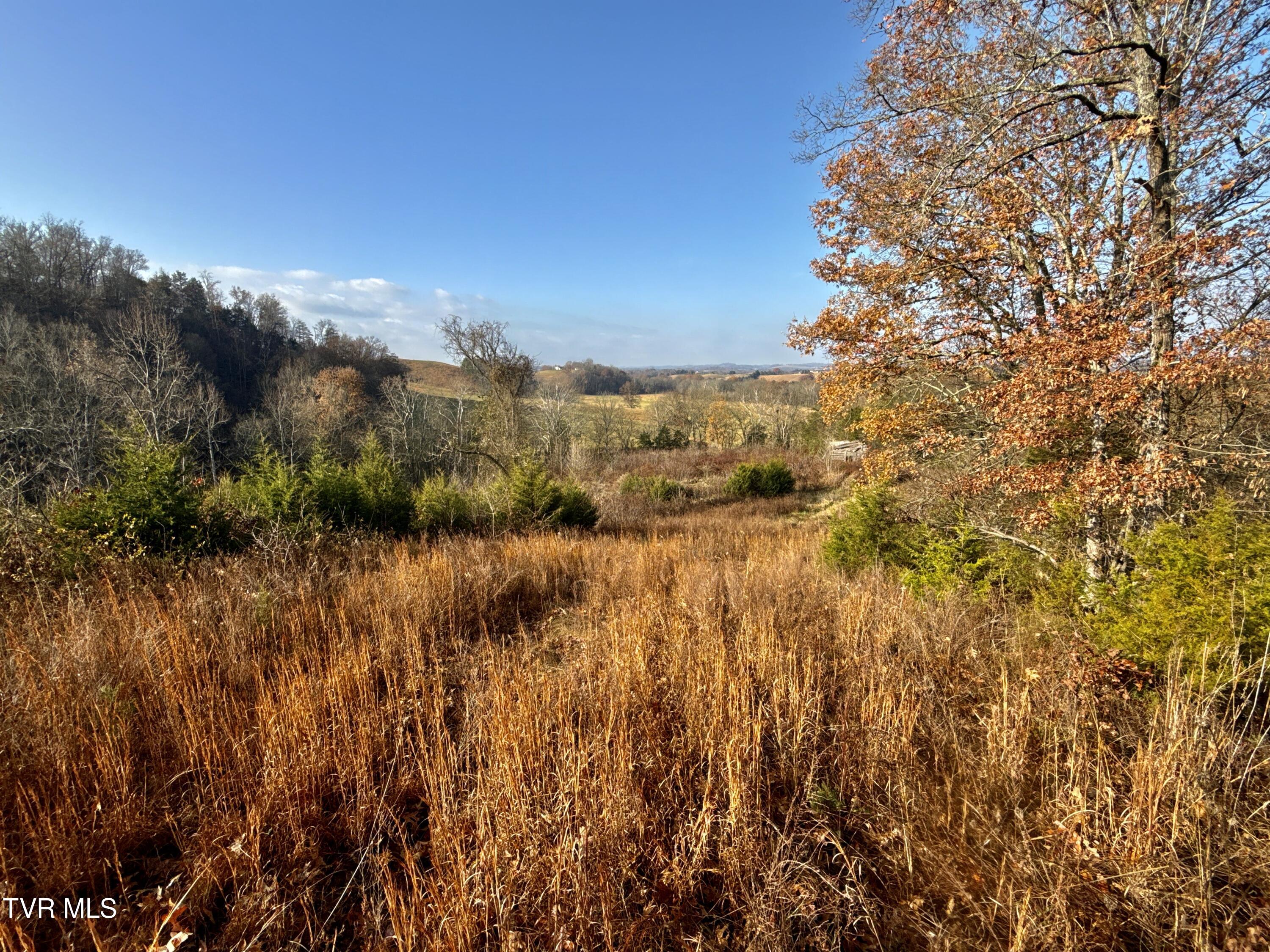 3456 Warrensburg Road, Unit 17 Whitesburg, TN 37891 - Photo 52 of 83 _Pic28 (21)
