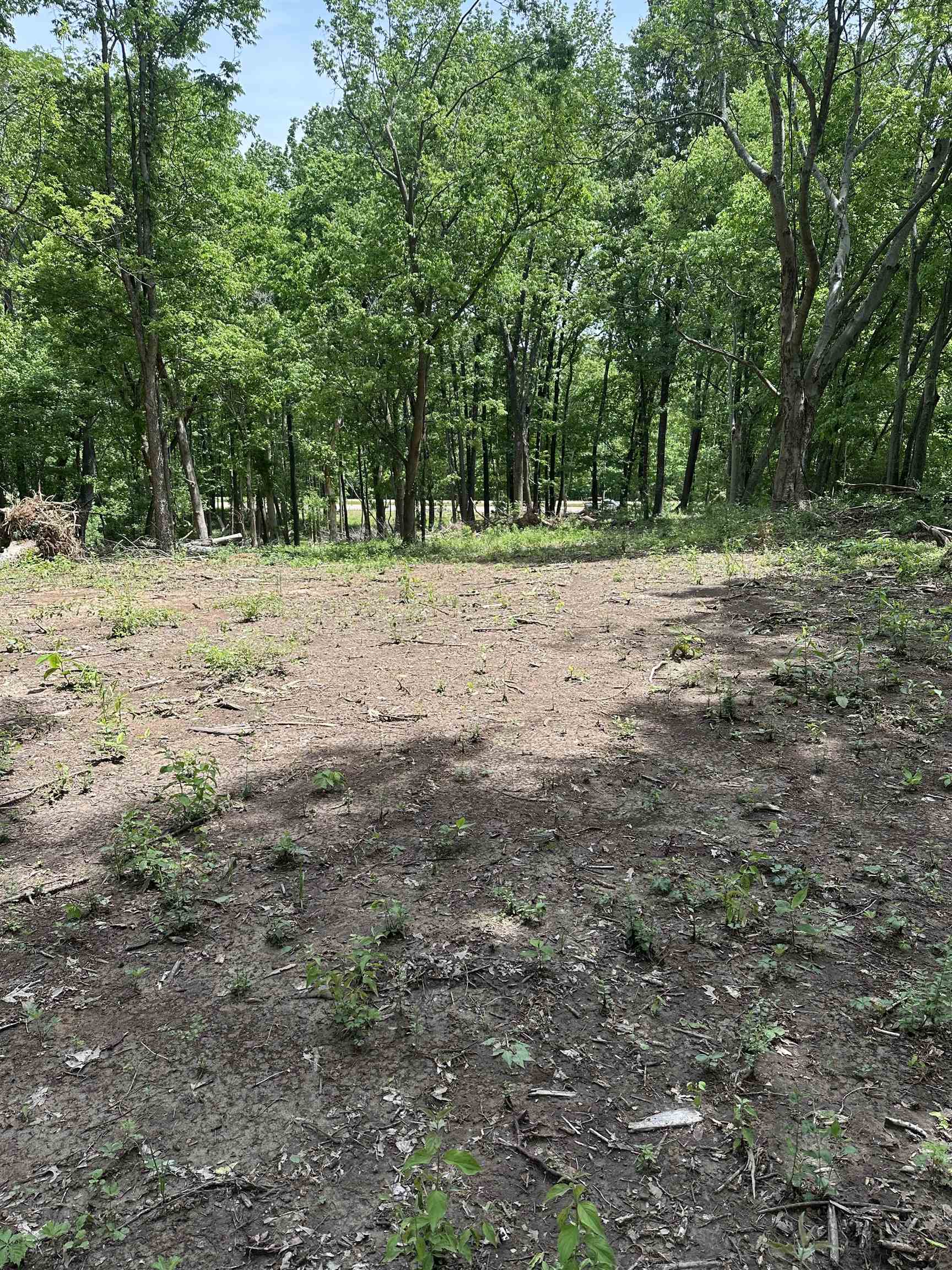 0 North Watkins Road Millington, TN 38053 - Photo 2 of 3 Gallery Image 2