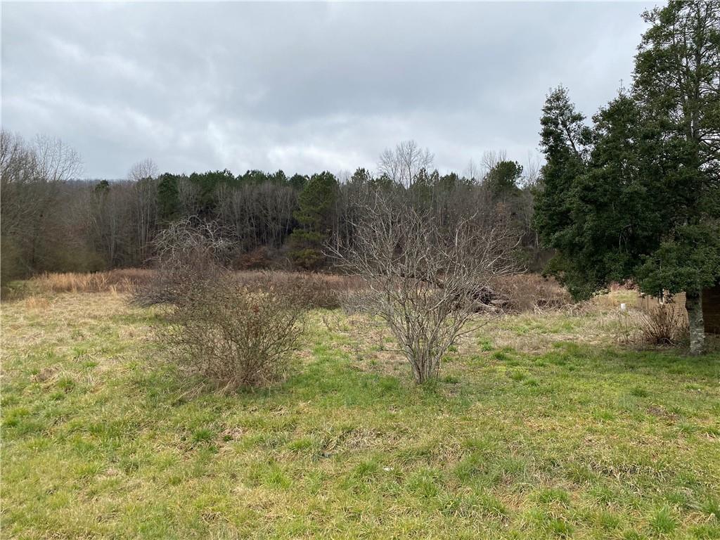 2849 Roland Hayes Parkway Southwest Calhoun, GA 30701 - Photo 1 of 1 a view of a yard with a tree