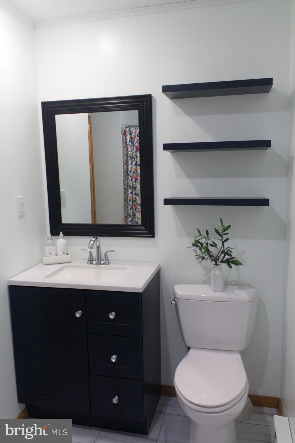 707 Round Top Road Chestertown, MD 21620 - Photo 12 of 31 First Floor Bath