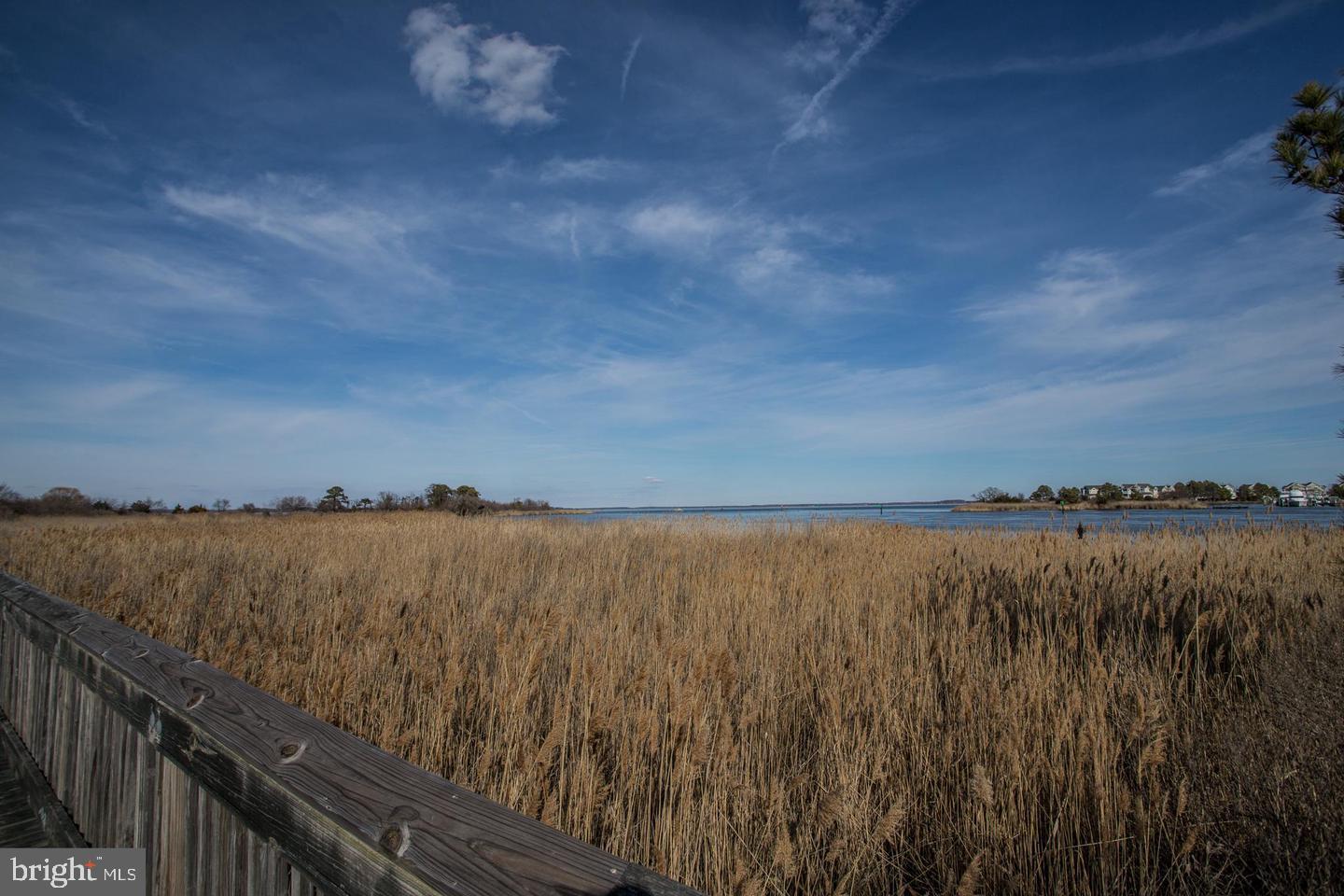 7 Piney Narrows Road Chester, MD 21619 - Photo 16 of 17 Gallery Image 16