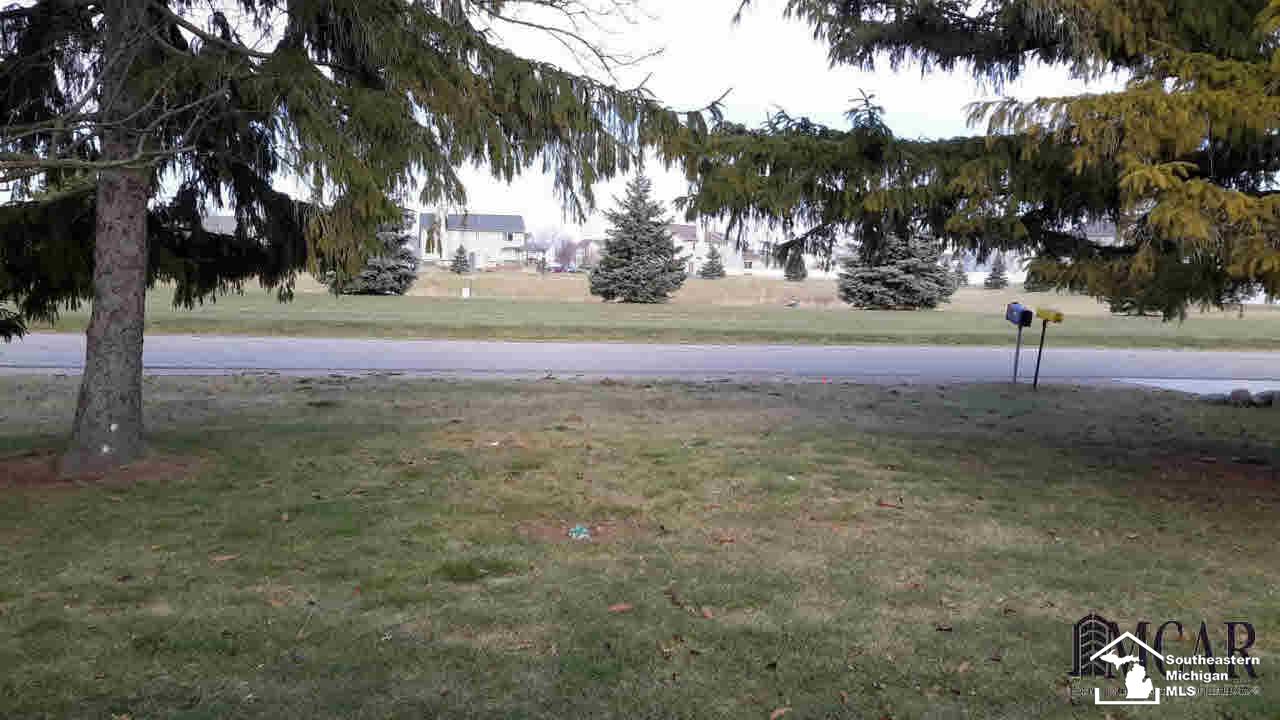 4180 Newport Road Newport, MI 48166 - Photo 14 of 14 Front Yard & View of Road