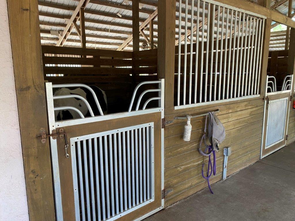 2141 B Road, Unit STUDIO 2 Loxahatchee Groves, FL 33470 - Photo 19 of 44 Nancys Barn 04