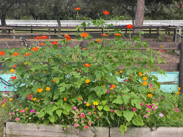 $1,750 | 2141 B Road, Unit STUDIO 2, Loxahatchee Groves, FL 33470