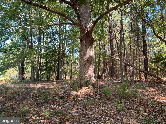 a view of backyard with green space