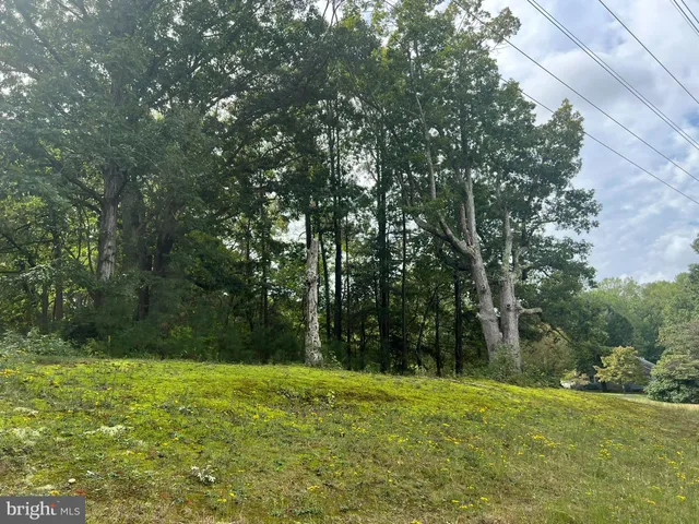 a view of outdoor space and yard