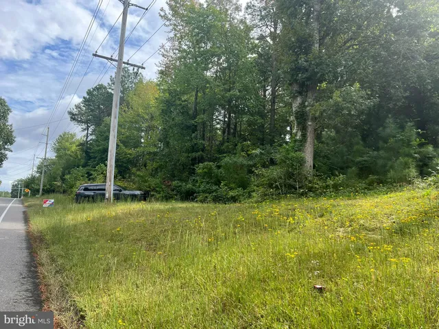 a swimming pool with lots of tress in front of it