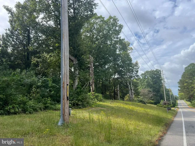 a view of a green yard