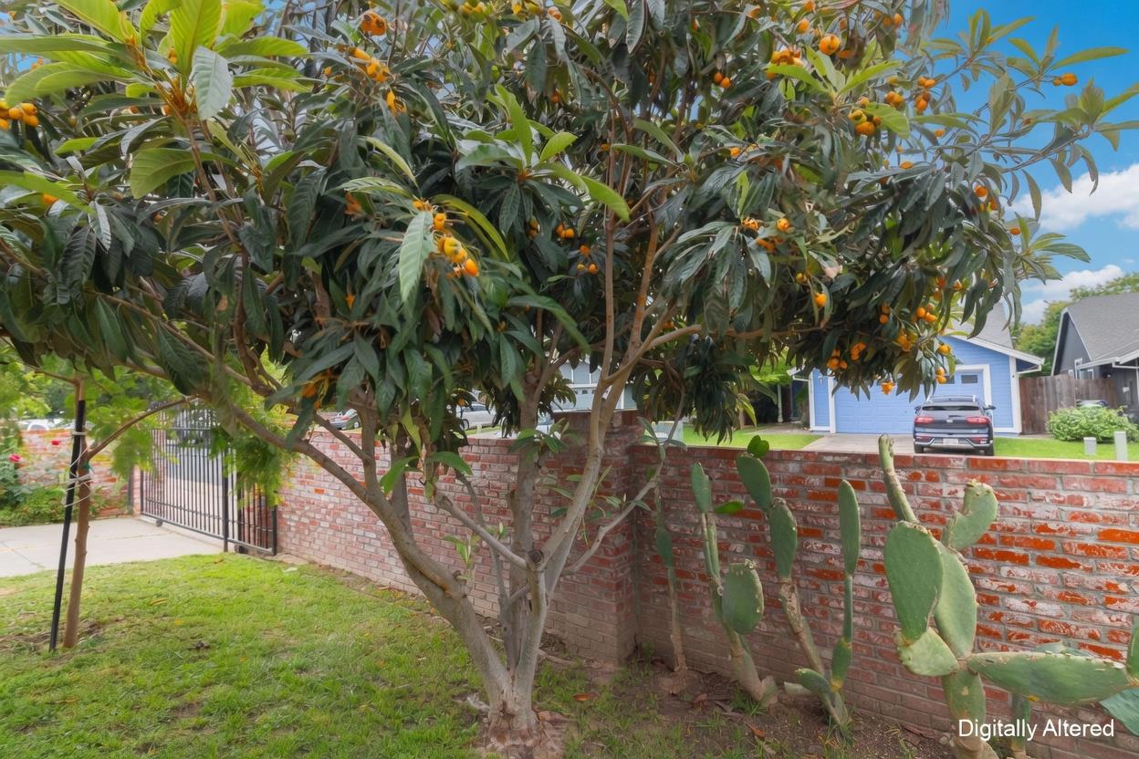 6236 Riverbelle Court Rio Linda, CA 95673 - Photo 36 of 57