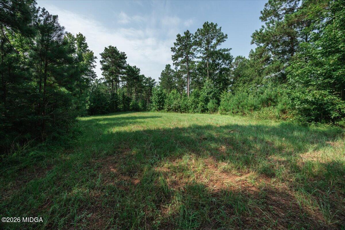 252 Rum Creek Road Juliette, GA 31046 - Photo 40 of 72 16-5W7A1580