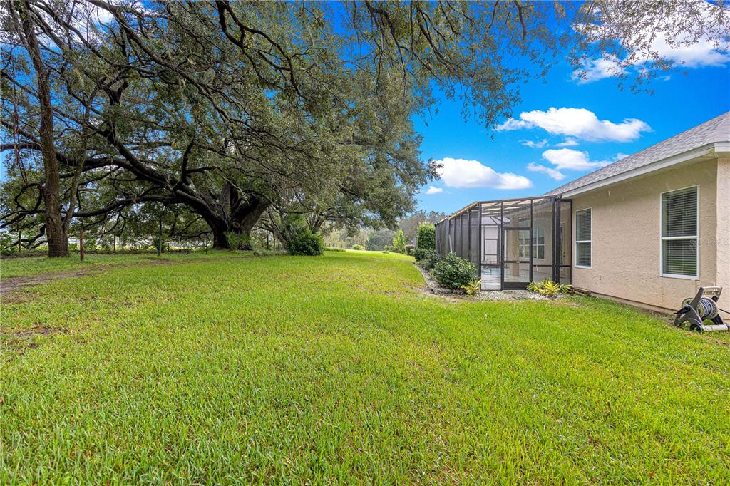 17187 Southeast 116th Court Road Summerfield, FL 34491 - Photo 53 of 53 Gallery Image 53