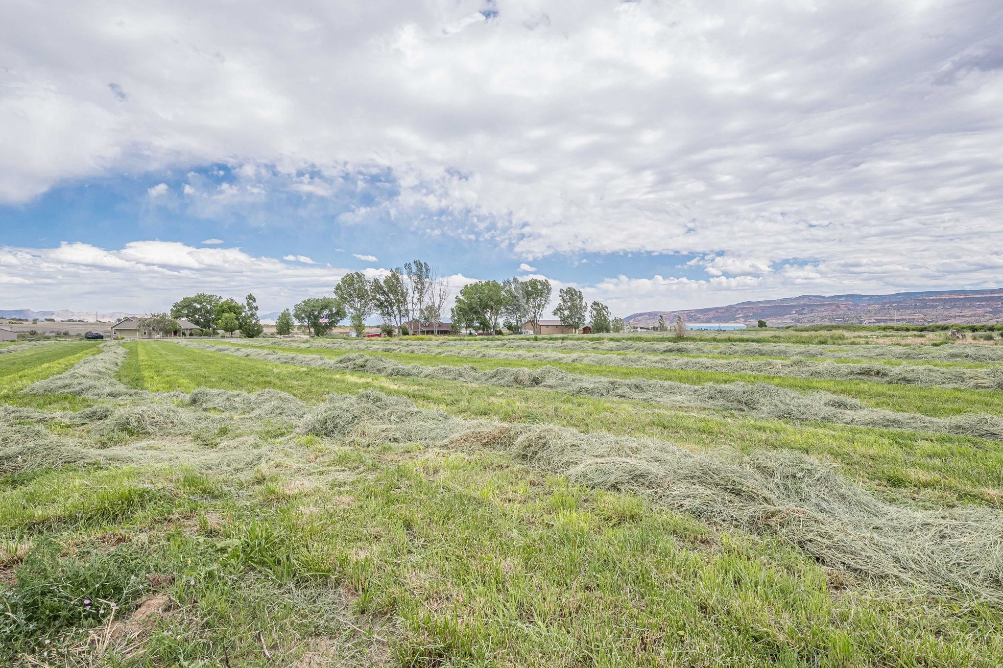 1266 14 Road Loma, CO 81524 - Photo 40 of 41