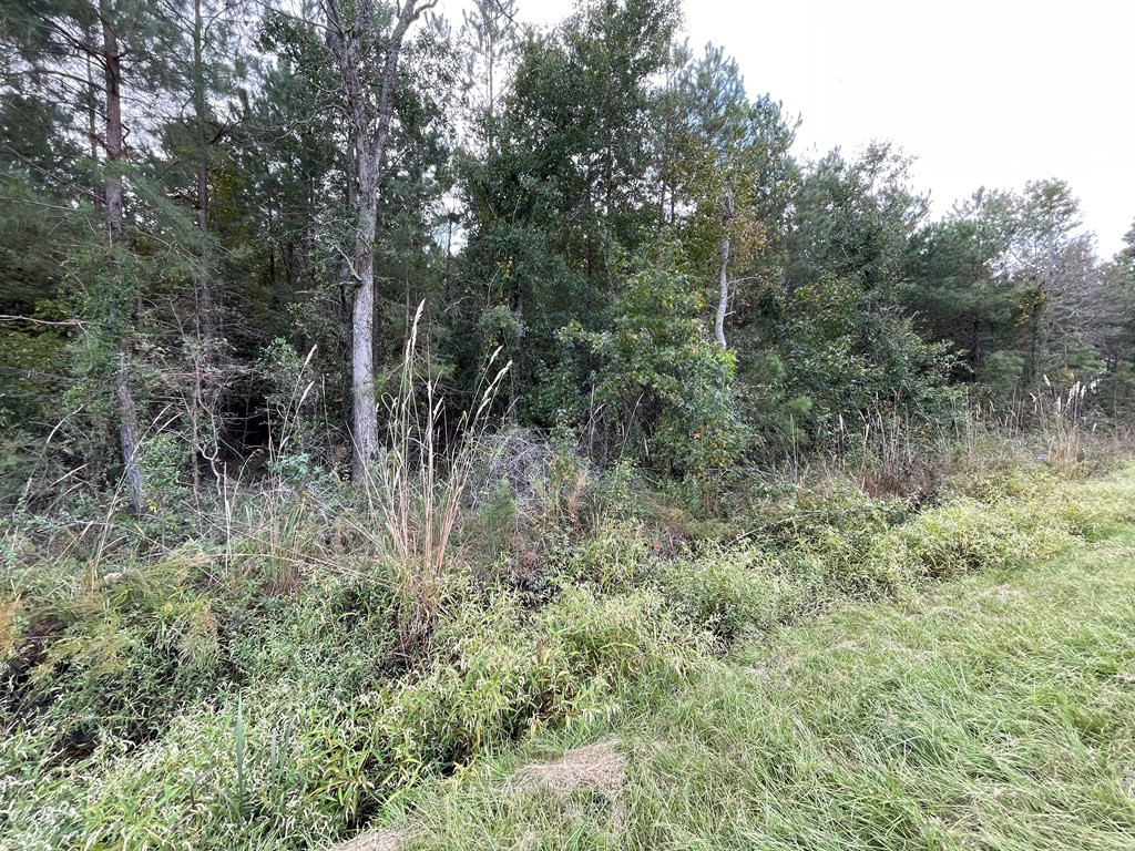 8890 Gibbs Road Lynchburg, SC 29080 - Photo 2 of 7 Gallery Image 2