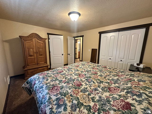12 Crook Street Fish Haven, ID 83287 - Photo 27 of 35 Carpeted bedroom featuring a textured ceiling and a closet