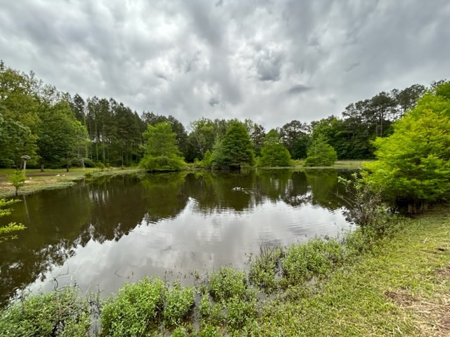 5663 Rollinson Road Smithdale, MS 39664 - Photo 54 of 72 Photo 54