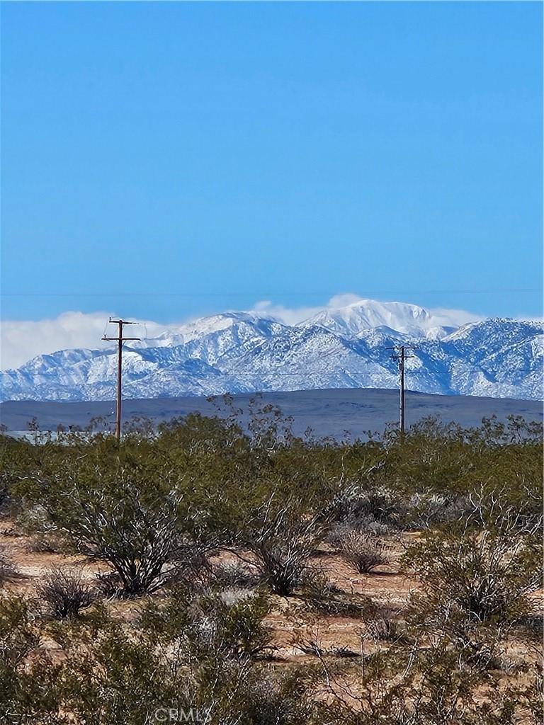 a view of a yard with a mountain