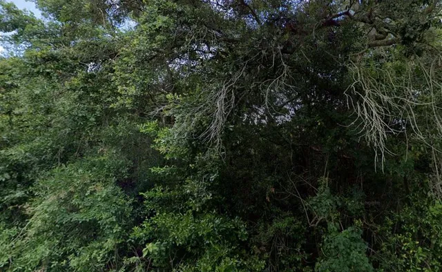 $27,500 | 3288 East Alisa Lane, Inverness, FL 34453