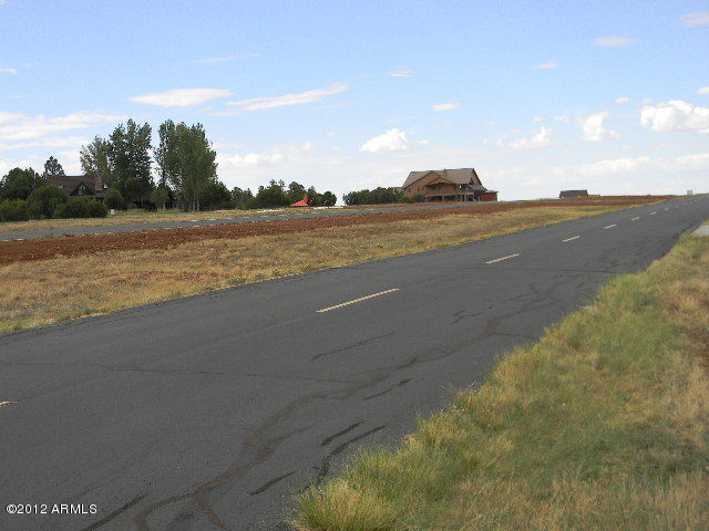 2758 Apollo Circle Overgaard, AZ 85933 - Photo 20 of 20 RUNWAY