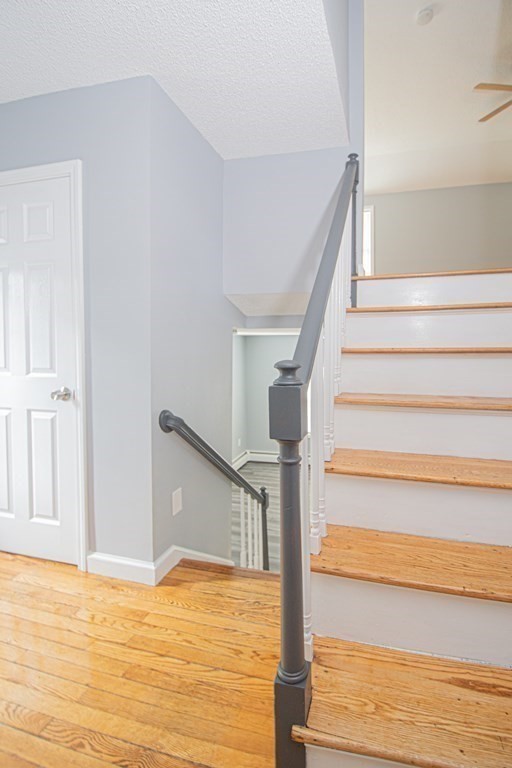 36 Hood Street Springfield, MA 01109 - Photo 8 of 19 Gallery Image 8