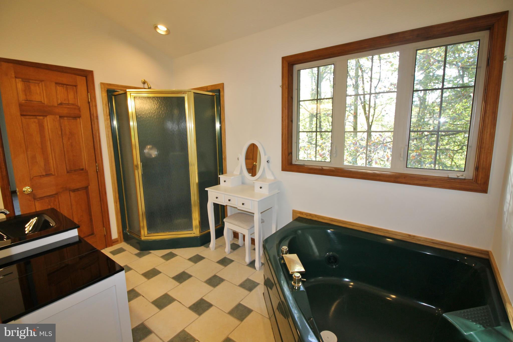 12 Codjus Drive Rising Sun, MD 21911 - Photo 18 of 22 Bath (Master)