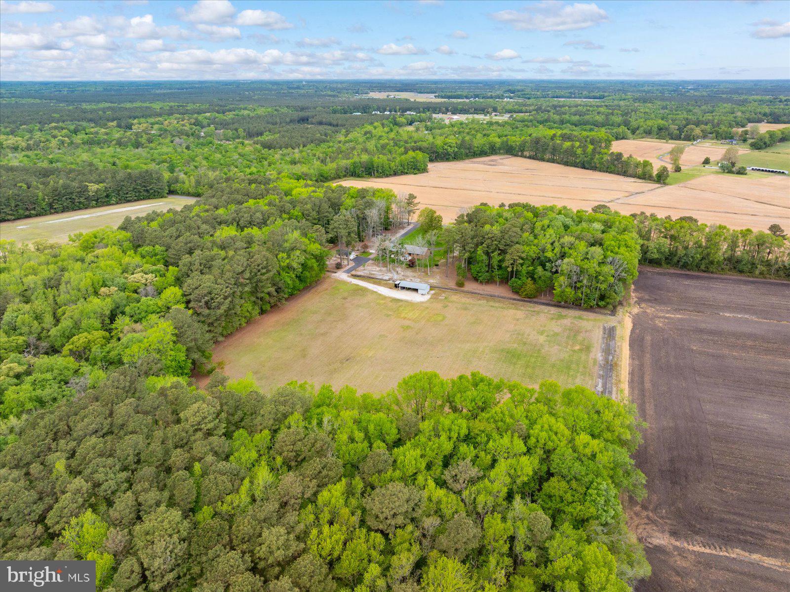 33915 Shockley Road Parsonsburg, MD 21849 - Photo 119 of 125 Expansive green landscape retreat.