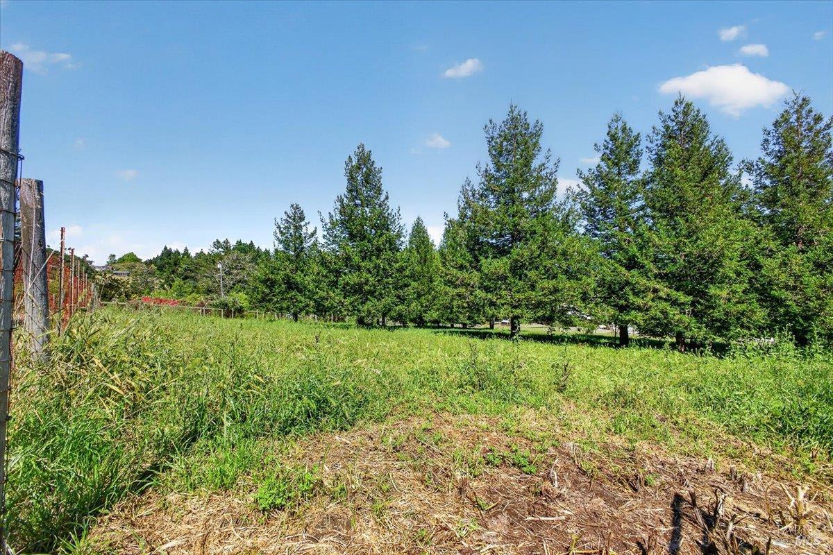 3477 Thorn Road Sebastopol, CA 95472 - Photo 34 of 53