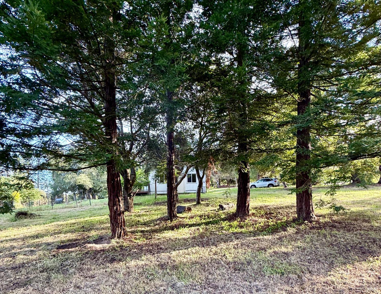 3477 Thorn Road Sebastopol, CA 95472 - Photo 35 of 53