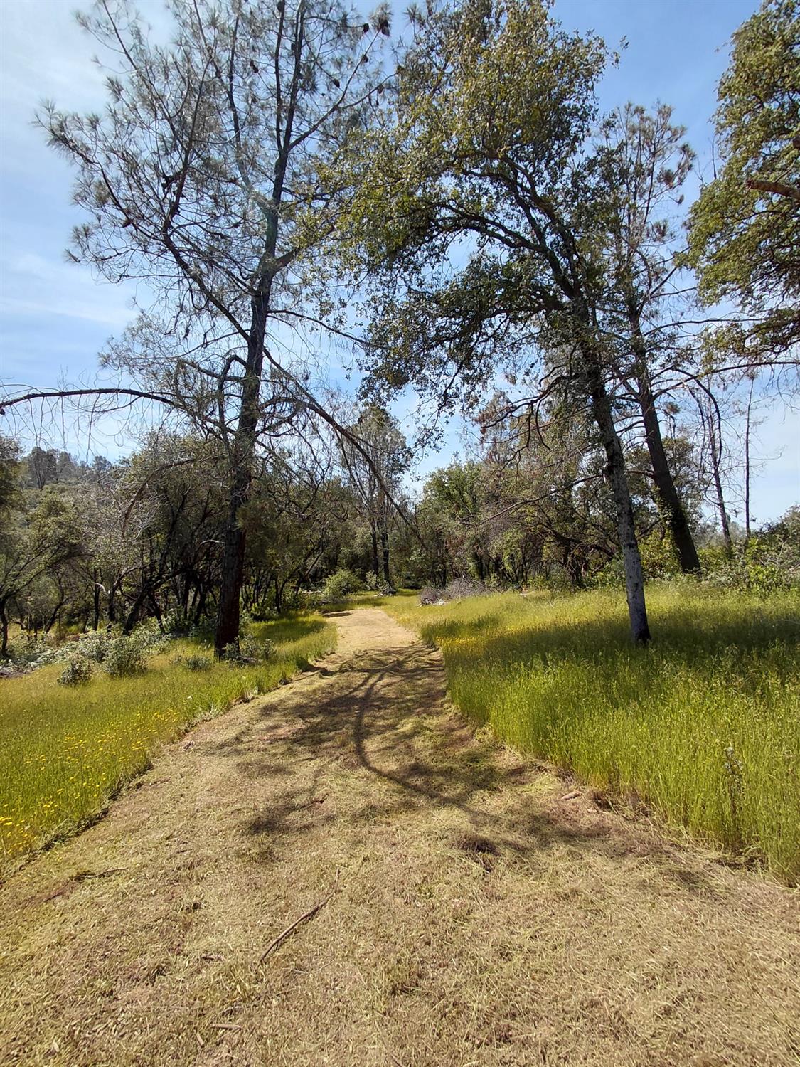 0 Swedes Flat Road Oroville, CA 95966 - Photo 20 of 23