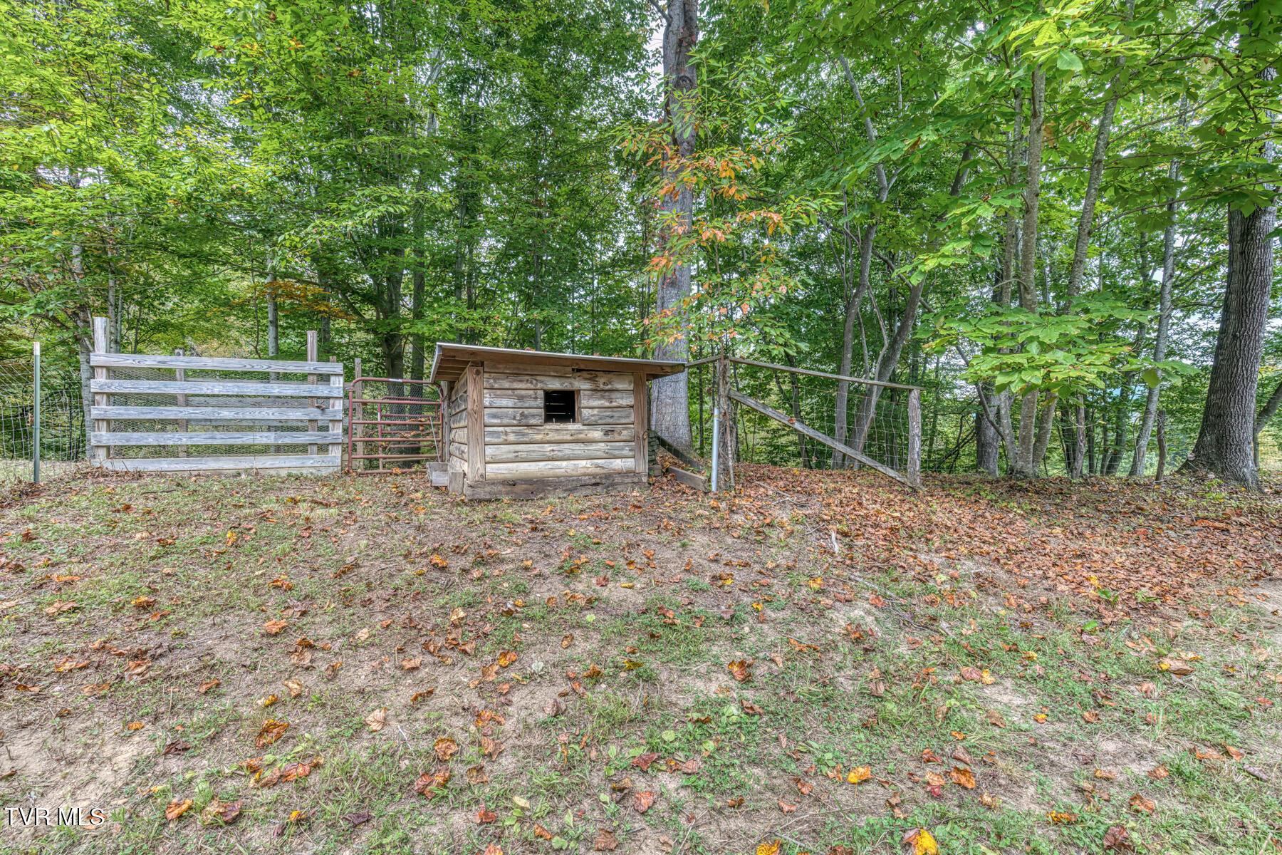 160 Conley Stevens Road Roan Mountain, TN 37687 - Photo 46 of 68 160 Conley Stevens Rd-56