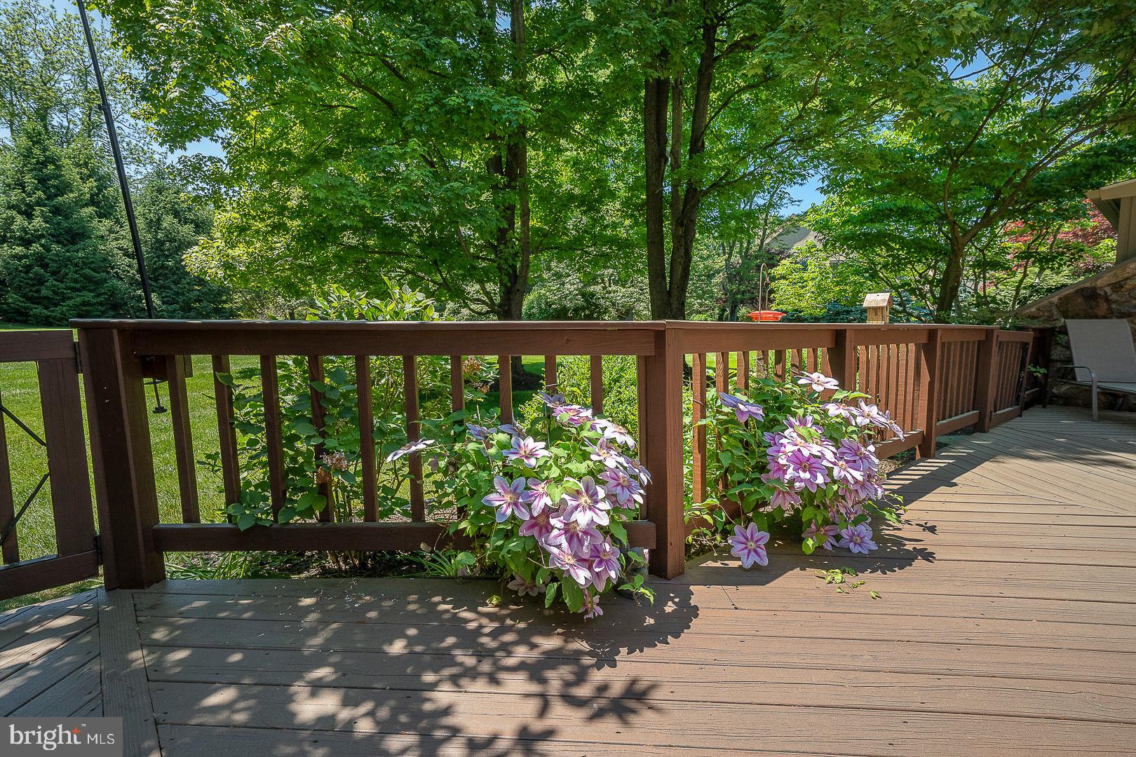 426 Waynesbrooke Road Berwyn, PA 19312 - Photo 29 of 40 Beautiful Deck