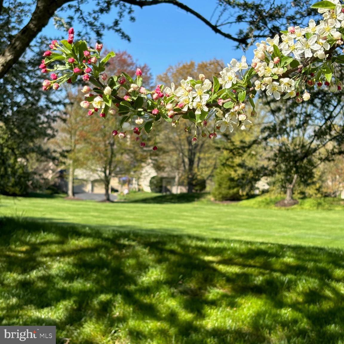 426 Waynesbrooke Road Berwyn, PA 19312 - Photo 39 of 40 Springtime view of common area